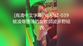 [高清中文字幕] WANZ-039被凌辱墮落的女教師波多野結衣