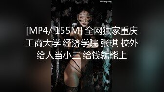 MFK-0026年轻的家政妇