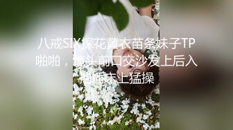 牛B大神火车马桶上藏了一个摄像头偷拍多位女乘客嘘嘘 各种肥鲍鱼尽情展示 (2)