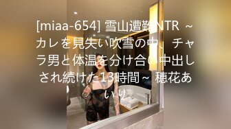 [miaa-654] 雪山遭難NTR ～カレを見失い吹雪の中、チャラ男と体温を分け合い中出しされ続けた13時間～ 穂花あいり