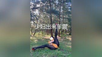 少妇出来车震