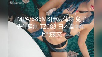 麻豆传媒-赵一曼商务女大使的魅惑狂乱榨精夜夜笙歌