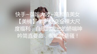 无法分开的美丽皮肤的女同性恋夫妇