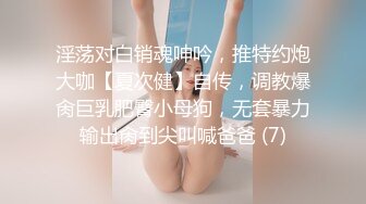 淫荡对白销魂呻吟，推特约炮大咖【夏次健】自传，调教爆肏巨乳肥臀小母狗，无套暴力输出肏到尖叫喊爸爸 (7)