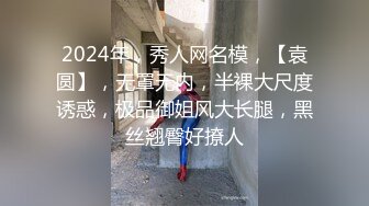 2024年，秀人网名模，【袁圆】，无罩无内，半裸大尺度诱惑，极品御姐风大长腿，黑丝翘臀好撩人