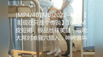 [MP4/407MB]2022-4-13【哥现在只是个传说】168CM皮短裙，极品丝袜美腿，吸吮大屌对准骚穴插入，呻吟浪叫