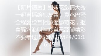 江南之城金融女