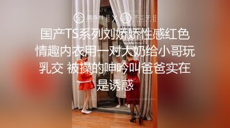 涩会传媒&nbsp;&nbsp;SH004 《我的嫂子是妓女》漂亮嫂子无法忘 嫖娼意外从天降 新人女优 韩梦嫣【MP4/329MB】