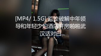 [MP4/ 232M]&nbsp;&nbsp;百度云泄密 眼镜哥和大胸D奶女友酒店开房啪啪啪被曝光