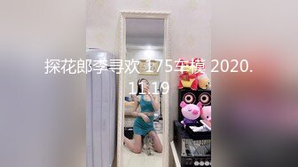 探花郎李寻欢 175车模 2020.11.19