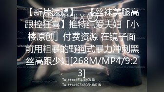 [MP4/9.1G]推特约炮大神【Svet19】真实约会自拍&nbsp;&nbsp;狂秀大吊和反馈