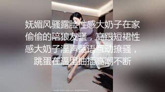 最新网红少女『恶犬』私人定制 黑丝包臀OL制服 小教鞭拍臀 美乳嫩穴 呻吟浪叫