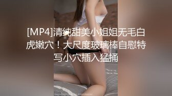 天天爽夜夜爽精品视频