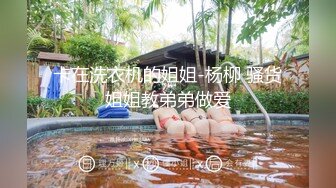 卡在洗衣机的姐姐-杨柳 骚货姐姐教弟弟做爱