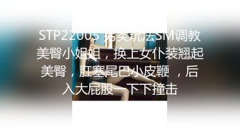 STP22005 另类玩法SM调教美臀小姐姐，换上女仆装翘起美臀，肛塞尾巴小皮鞭 ，后入大屁股一下下撞击