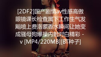 [2DF2]麻豆传媒三十天性爱企划之极品麻豆女郎的坚挺双乳1080p高清 [MP4/117MB][BT种子]