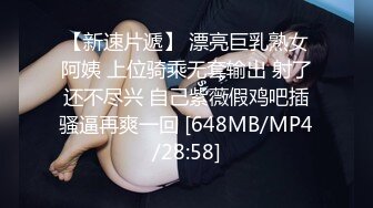 BTH-134(h_1435bth00134)[CHoBitcH]接吻記念日早坂あずき