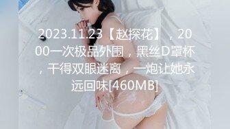 2023.11.23【赵探花】，2000一次极品外围，黑丝D罩杯，干得双眼迷离，一炮让她永远回味[460MB]