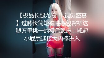 2024一月最新流出❤️厕拍极品收藏✿全新镜头升级商场后拍前景到两个美女