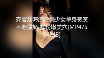 MD0149 国产麻豆AV MD 凌辱凡尔赛文学少女 李文雯