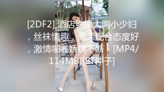 [2DF2] 酒店约操大胸小少妇，丝袜情趣，温柔配合态度好，激情啪啪娇喘不断 - [MP4/114MB][BT种子]