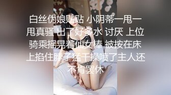 现役淫荡空姐-云云小仙女