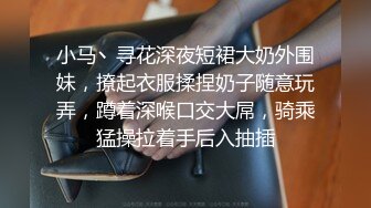 小马丶寻花深夜短裙大奶外围妹，撩起衣服揉捏奶子随意玩弄，蹲着深喉口交大屌，骑乘猛操拉着手后入抽插