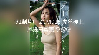 91制片厂 ZCM015 屌丝硬上风骚白富美 李蓉蓉