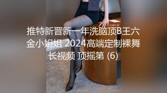 推特新晋新一年洗脑顶B王六金小姐姐 2024高端定制裸舞长视频 顶摇第 (6)