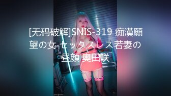 [无码破解]SNIS-319 痴漢願望の女 セックスレス若妻の昼顔 奥田咲