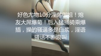 黎菲兒-《元宇宙》-巨乳女仆，挑逗版120P+1V