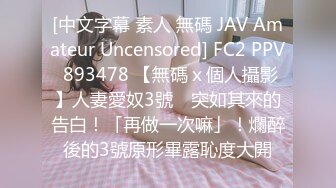 [中文字幕 素人 無碼 JAV Amateur Uncensored] FC2 PPV 893478 【無碼ｘ個人攝影】人妻愛奴3號　突如其來的告白！「再做一次嘛」！爛醉後的3號原形畢露恥度大開