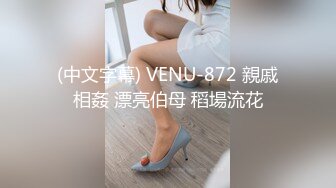 (中文字幕) VENU-872 親戚相姦 漂亮伯母 稻場流花