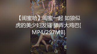 枫花恋粉丝的自我修养