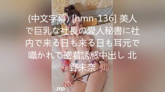 (中文字幕) [hmn-136] 美人で巨乳な社長の愛人秘書に社内で来る日も来る日も耳元で囁かれて密着誘惑中出し 北野未奈