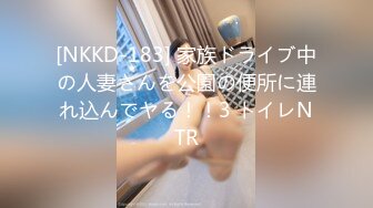 [NKKD-183] 家族ドライブ中の人妻さんを公園の便所に連れ込んでヤる！！3 トイレNTR