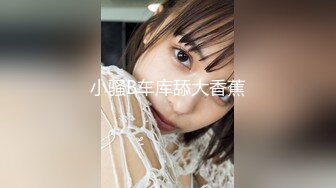 兔子先生TZ-040岛国女仆为你服务-中野惠子