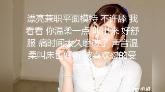 [鈴木みら乃]自宅警備員2 第七話 従兄妹・叔母・メイド～自宅警備員は眠らない～