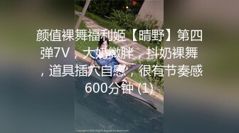 9月最新流出魔手外购极品厕拍《前景后景》偷拍(酒吧美女）人字拖鞋美女的逼毛黑幽幽浓密性感