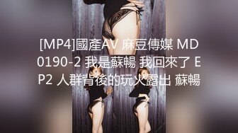 [MP4]國產AV 麻豆傳媒 MD0190-2 我是蘇暢 我回來了 EP2 人群背後的玩火露出 蘇暢