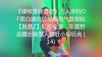 《硬核重磅泄密》万人求档OF黑白通吃极品媚黑气质御姐【我是Z】私拍全套，车震野战露出被黑人健壮小哥玩肏 (14)