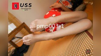 pmp003-1